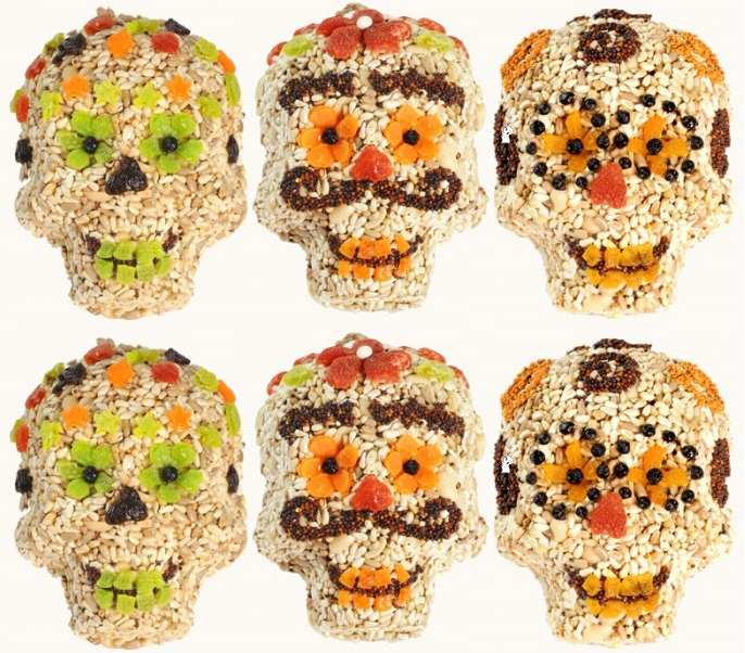 Seed Skulls Set of 6